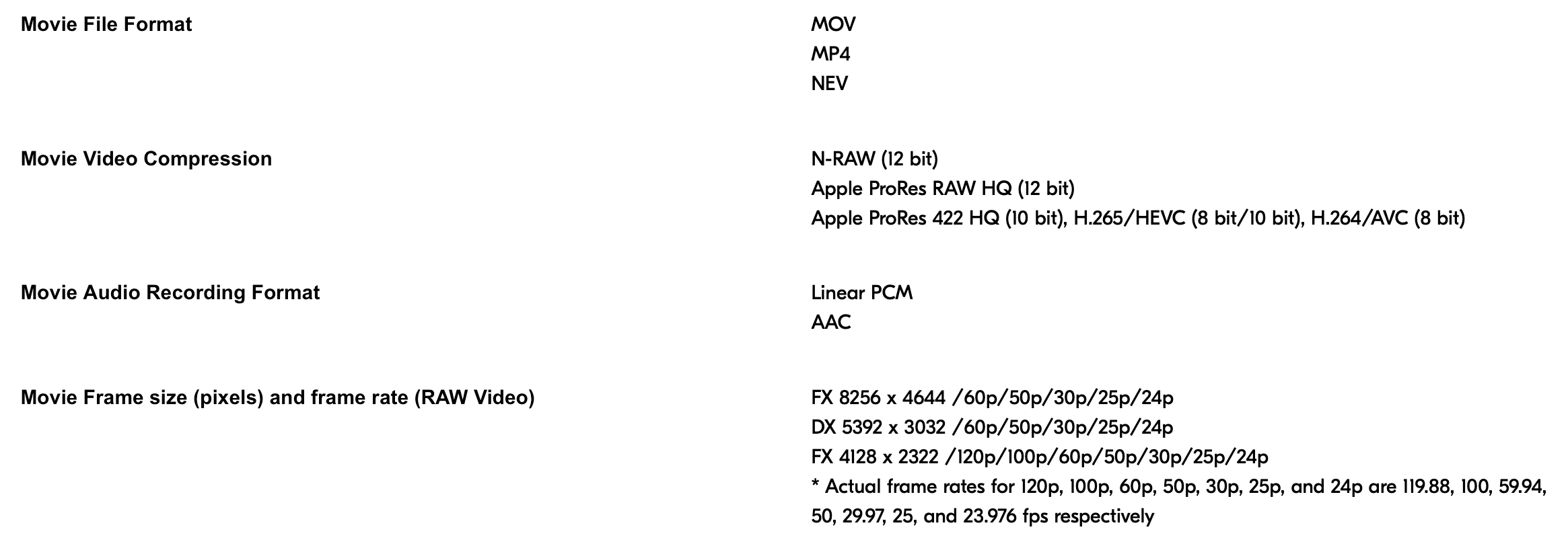 2023 01 nikon codecs