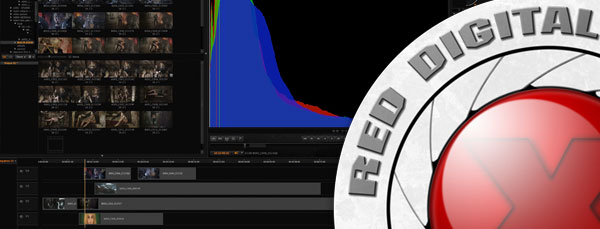 REDCINE-X-Professional