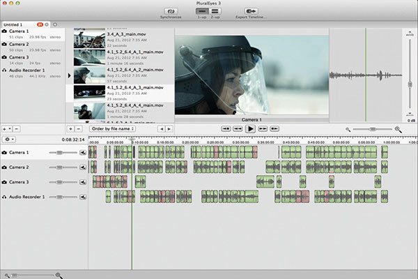 Pluraleyes 3 gui
