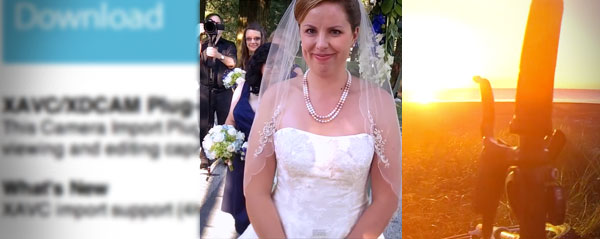 bug wedding plugin