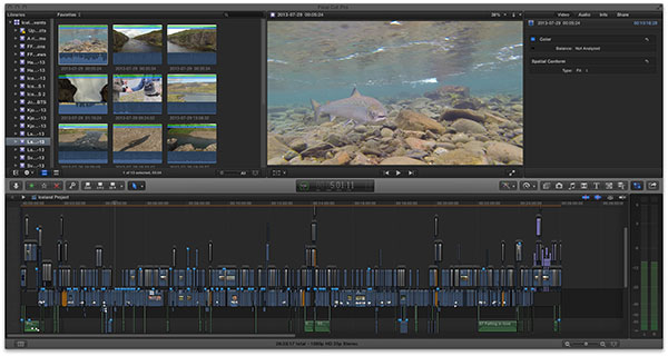 LoretzIcelandFilmFCPXfish small