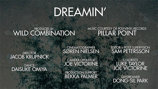 dreamin fcpx user story credits