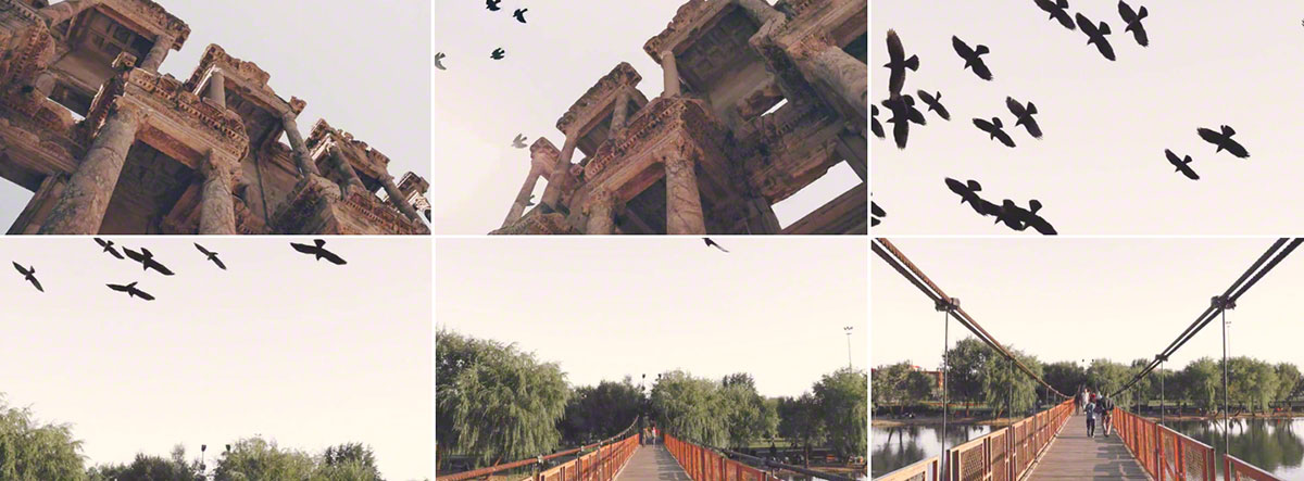 watchtower fcpx 19