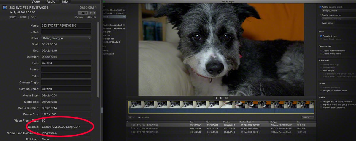 FCPX XAVC L import
