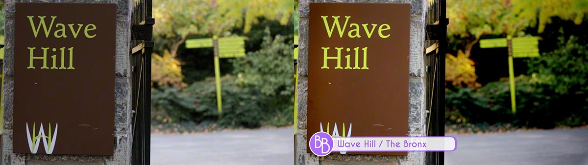BotB WaveHill BeforeAfter