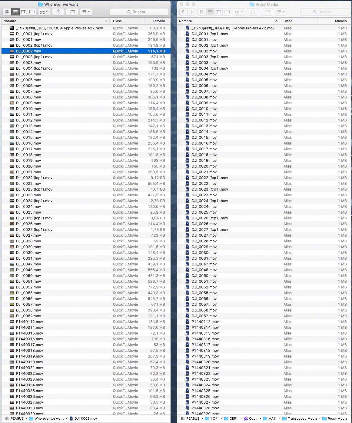 FCPX Proxies 05