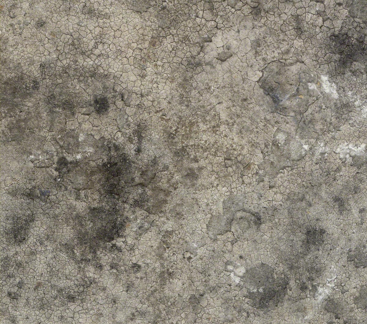 texture1