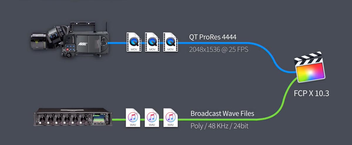 la peste 15 fcpx