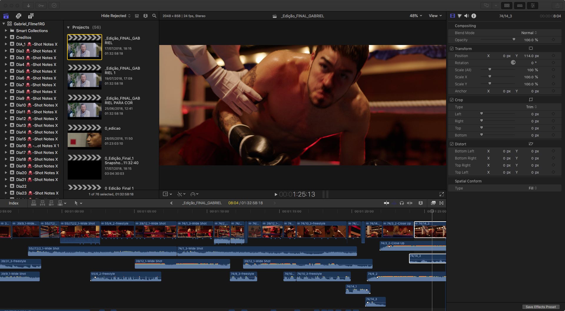 gabriel fcpx 10
