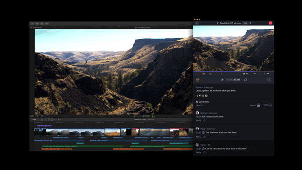 AnimaticCollaboratereal time