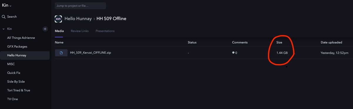Frame.io Producer Project
