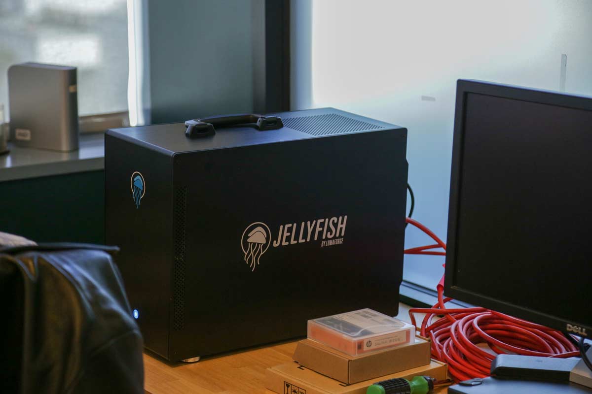 KIN Jellyfish