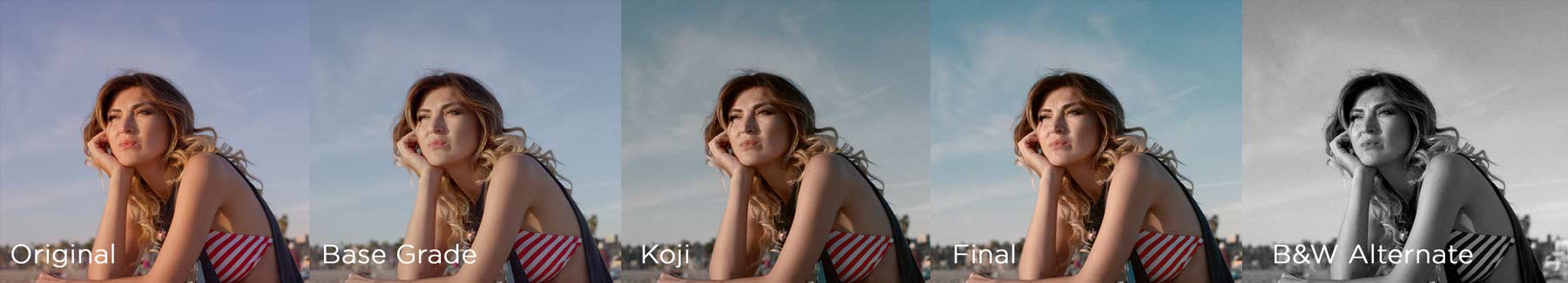 FilmLook AllSteps